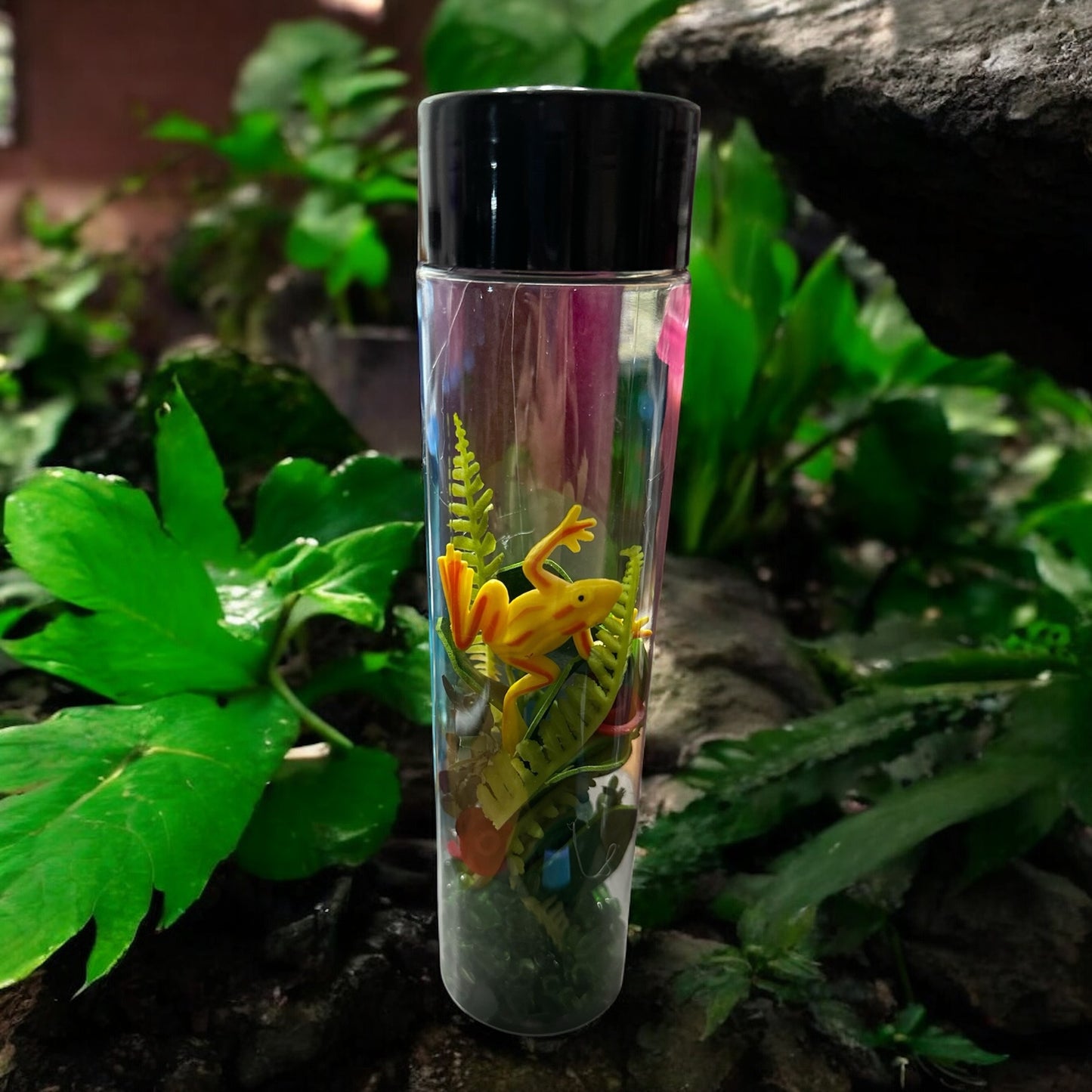 8” Pond Life of Frogs Discovery Sensory Bottle