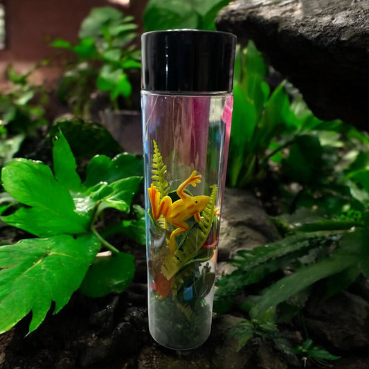 8” Pond Life of Frogs Discovery Sensory Bottle