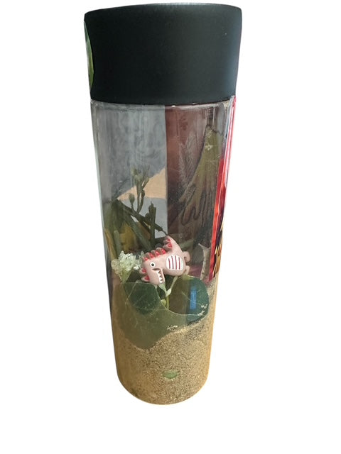 7" Dino Seek & Find Discovery Sensory Bottles