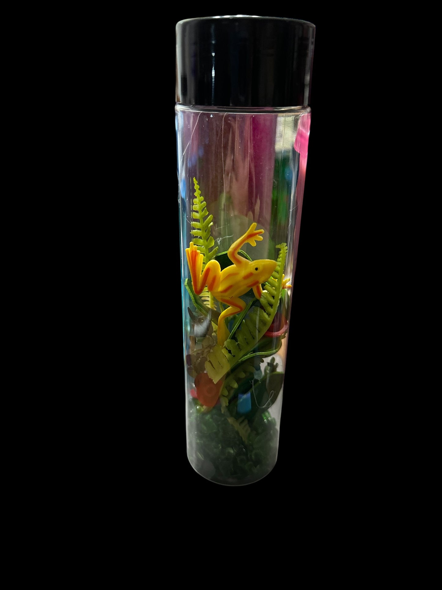 8” Pond Life of Frogs Discovery Sensory Bottle
