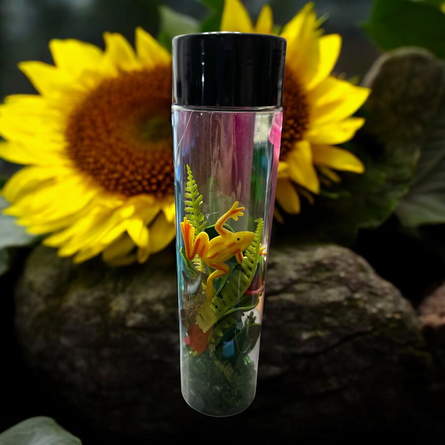 8” Pond Life of Frogs Discovery Sensory Bottle