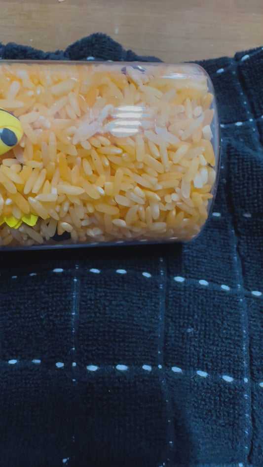 8" Bumble Bee Seek and Find Discovery Sensory Bottle